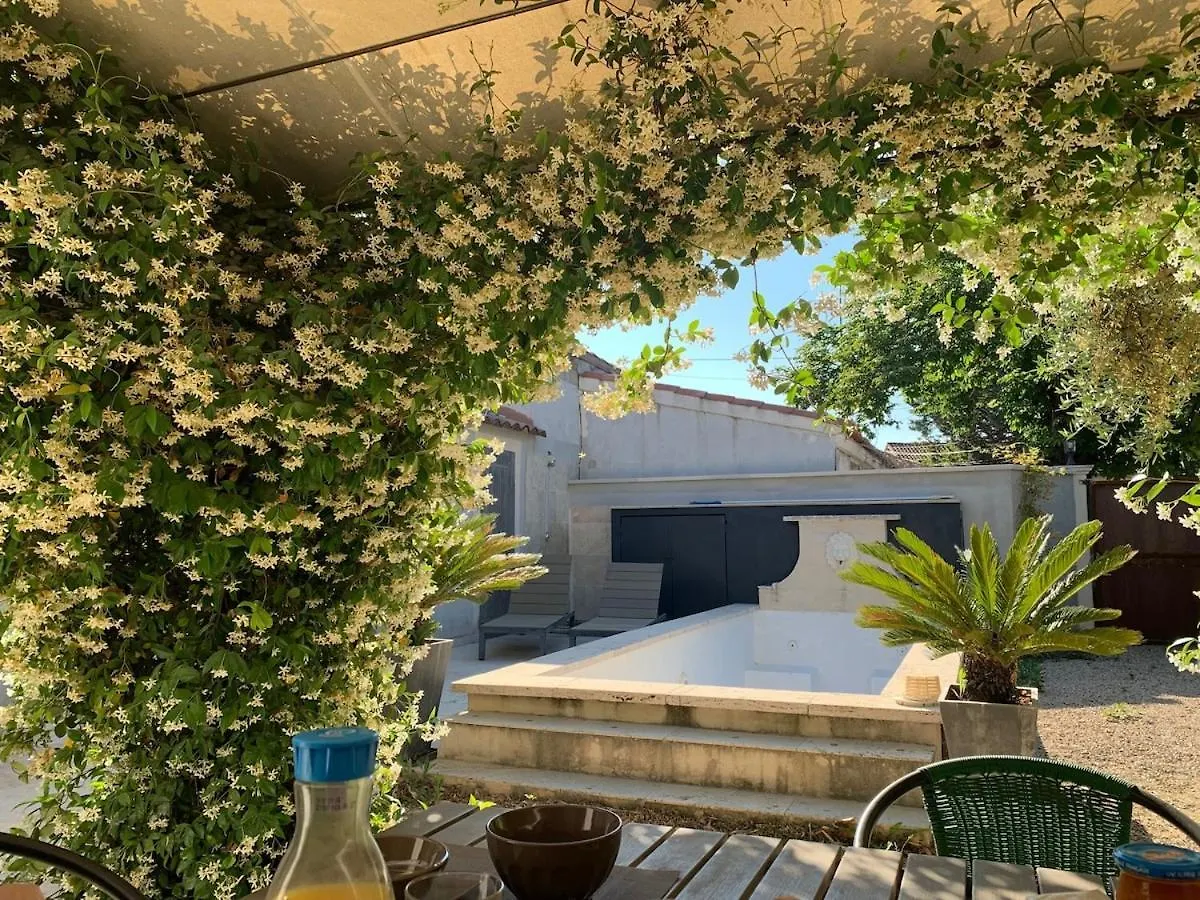 Mas Provencal Au Coeur De L'Isle-Sur-La-Sorgue Villa France